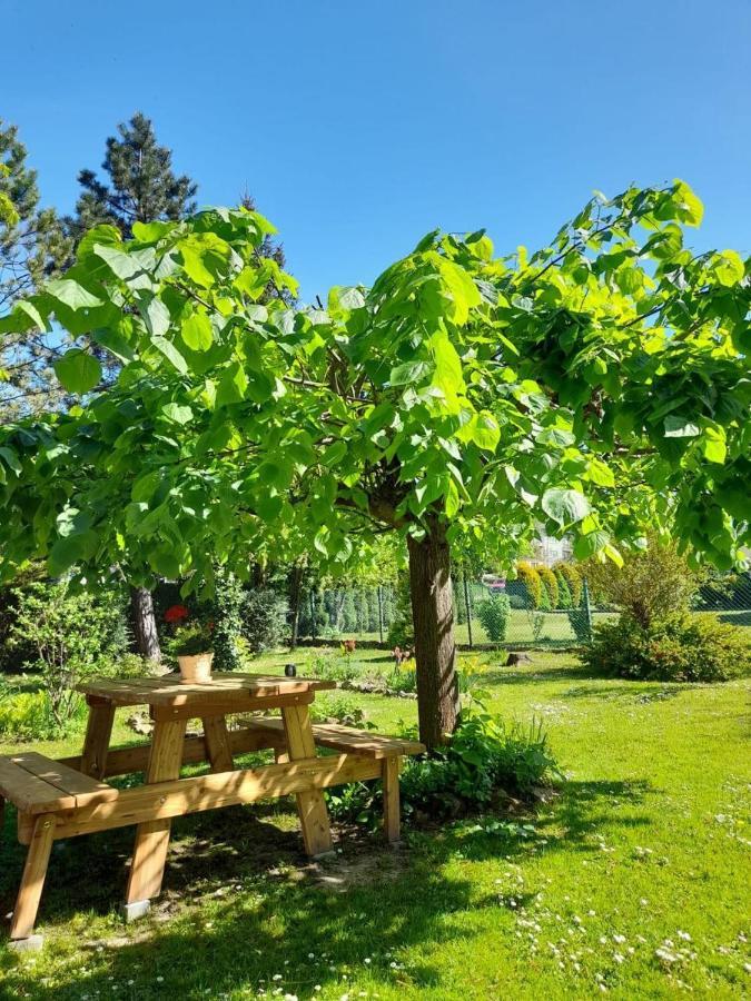 Agroturystyka Stokrotka Rymanów-Zdrój Eksteriør billede