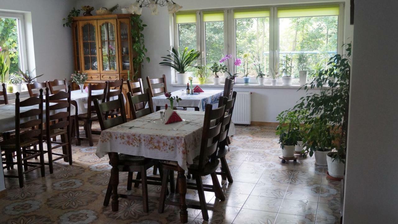 Agroturystyka Stokrotka Rymanów-Zdrój Eksteriør billede